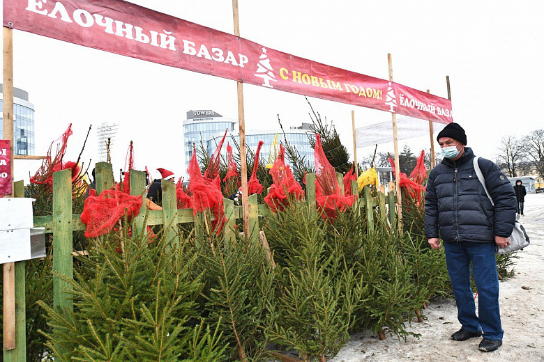 В Ярославле работают десять елочных базаров