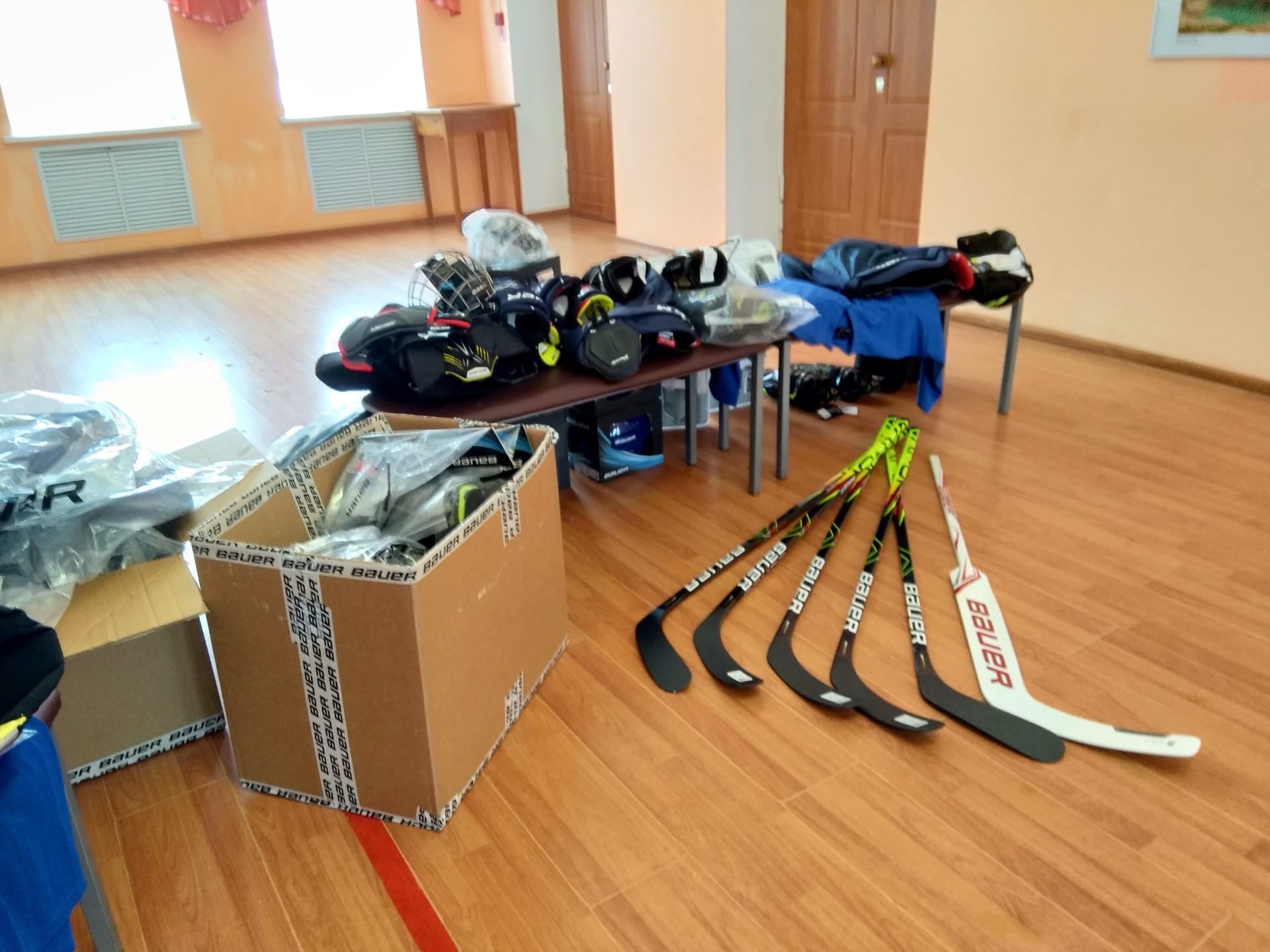 Учащиеся школы поселка Борок получили в подарок от Дмитрия Миронова комплекты настоящей хоккейной экипировки