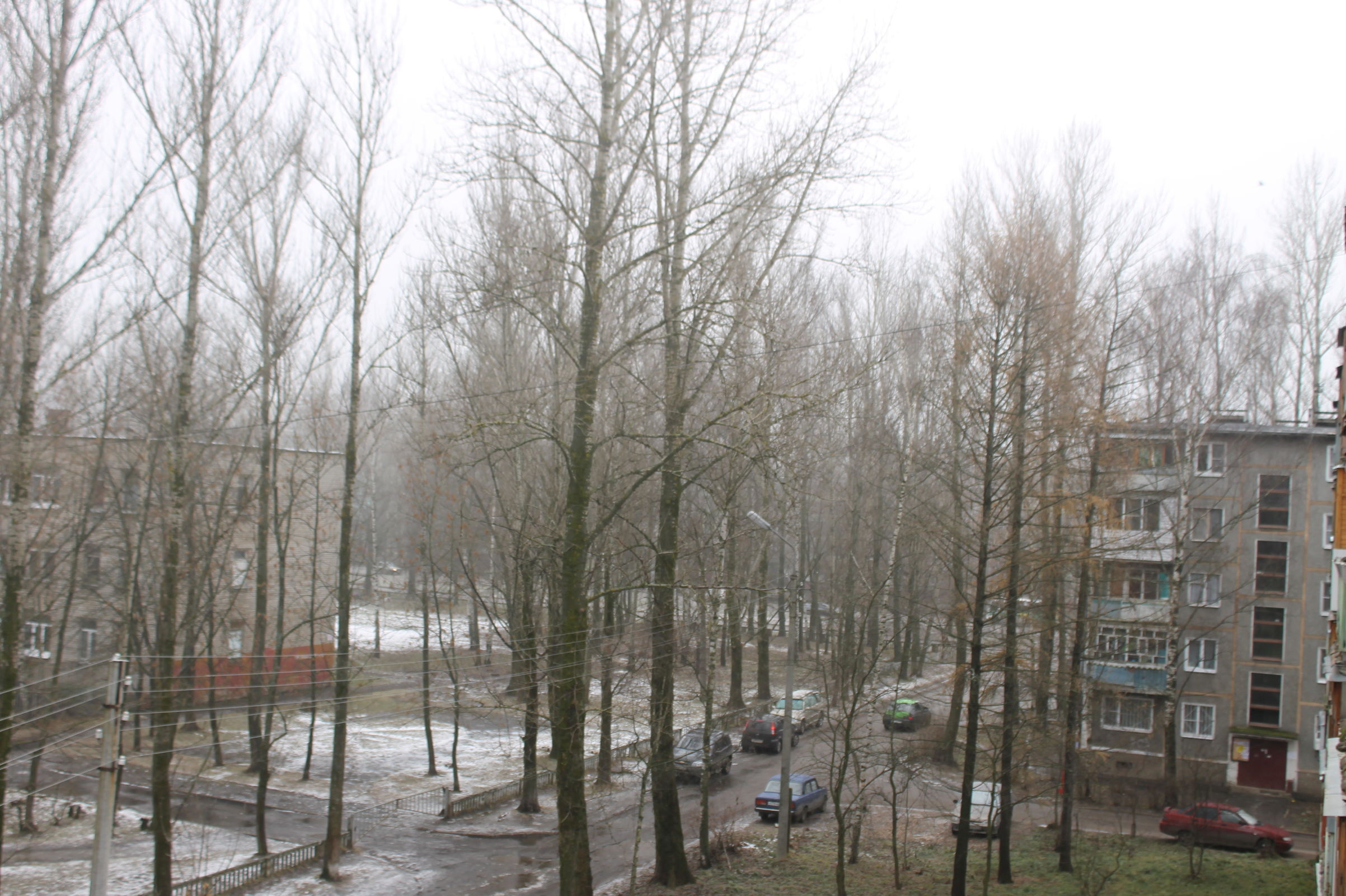 В МЧС предупредили ярославцев о дождях и сильной оттепели