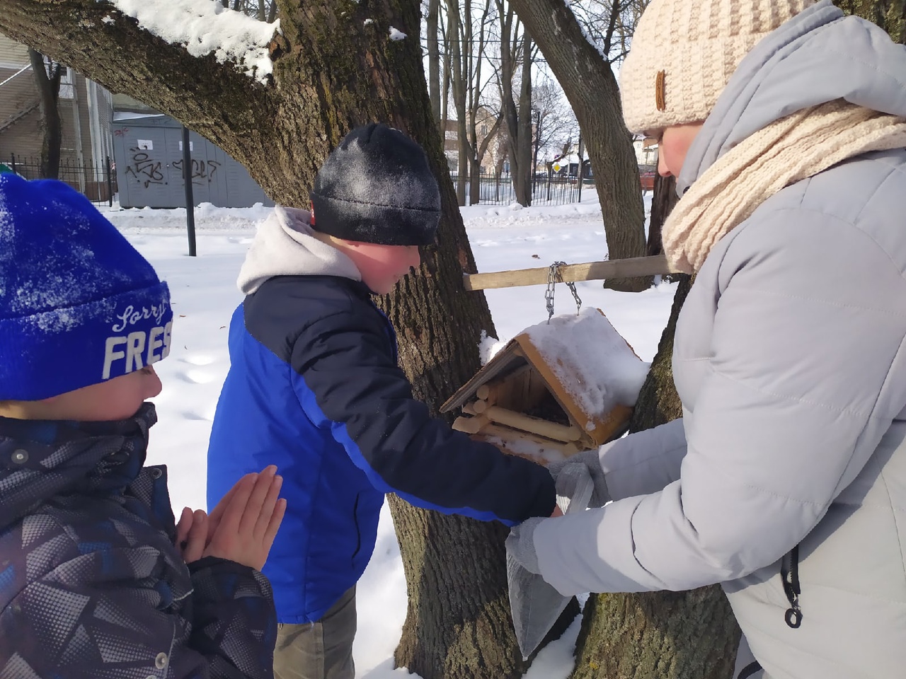 В Ярославской области участники экологической акции развесили более пяти тысяч кормушек