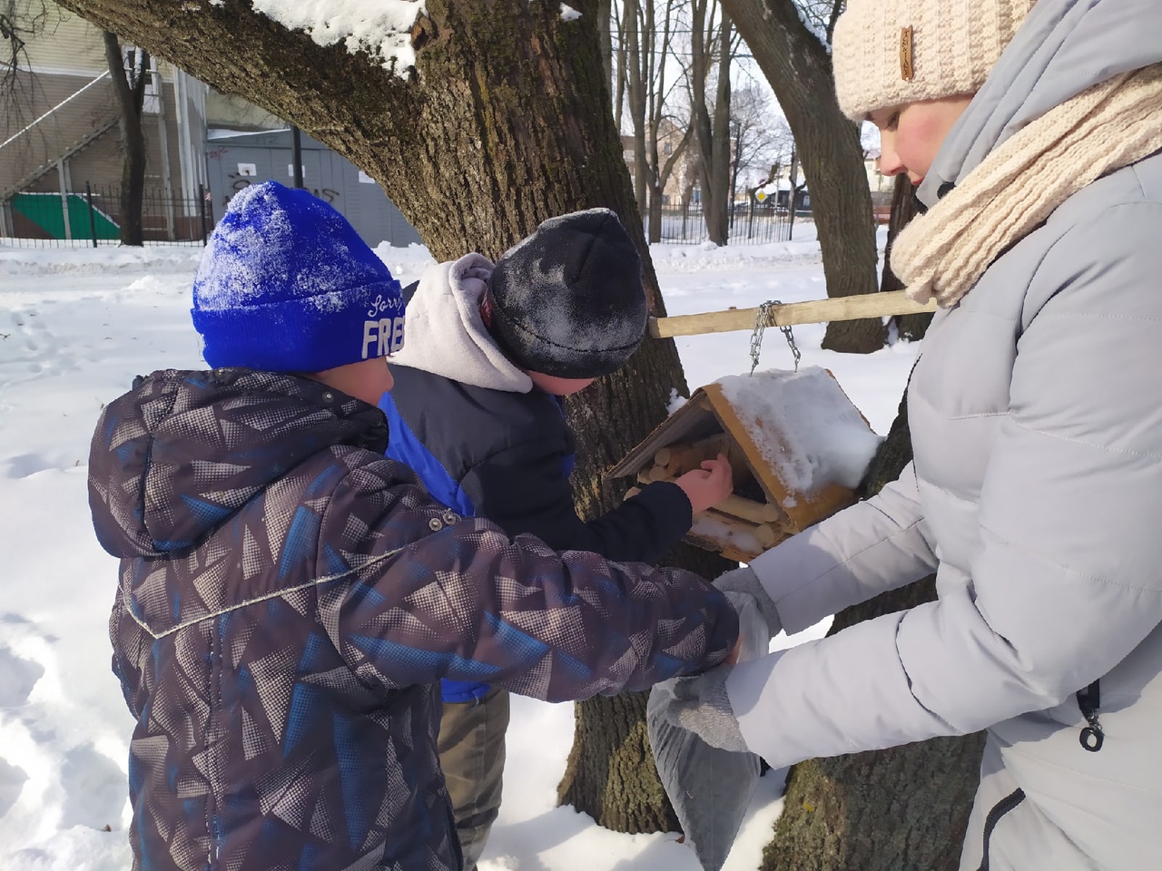 В Ярославской области участники экологической акции развесили более пяти тысяч кормушек
