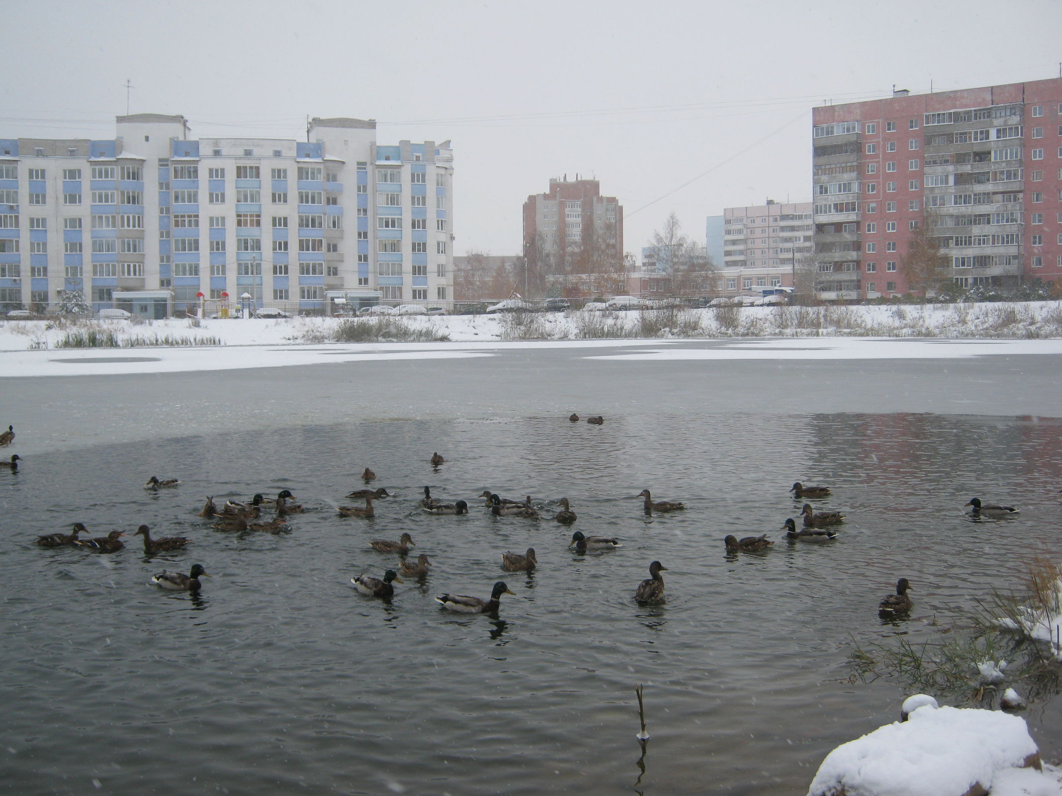 Резкий скачок температур: в Ярославской области за два дня потеплеет сразу на 40 градусов
