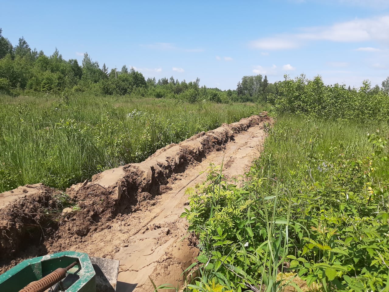 В Ярославской области для защиты лесов от пожаров создадут более 840 километров минерализованных полос