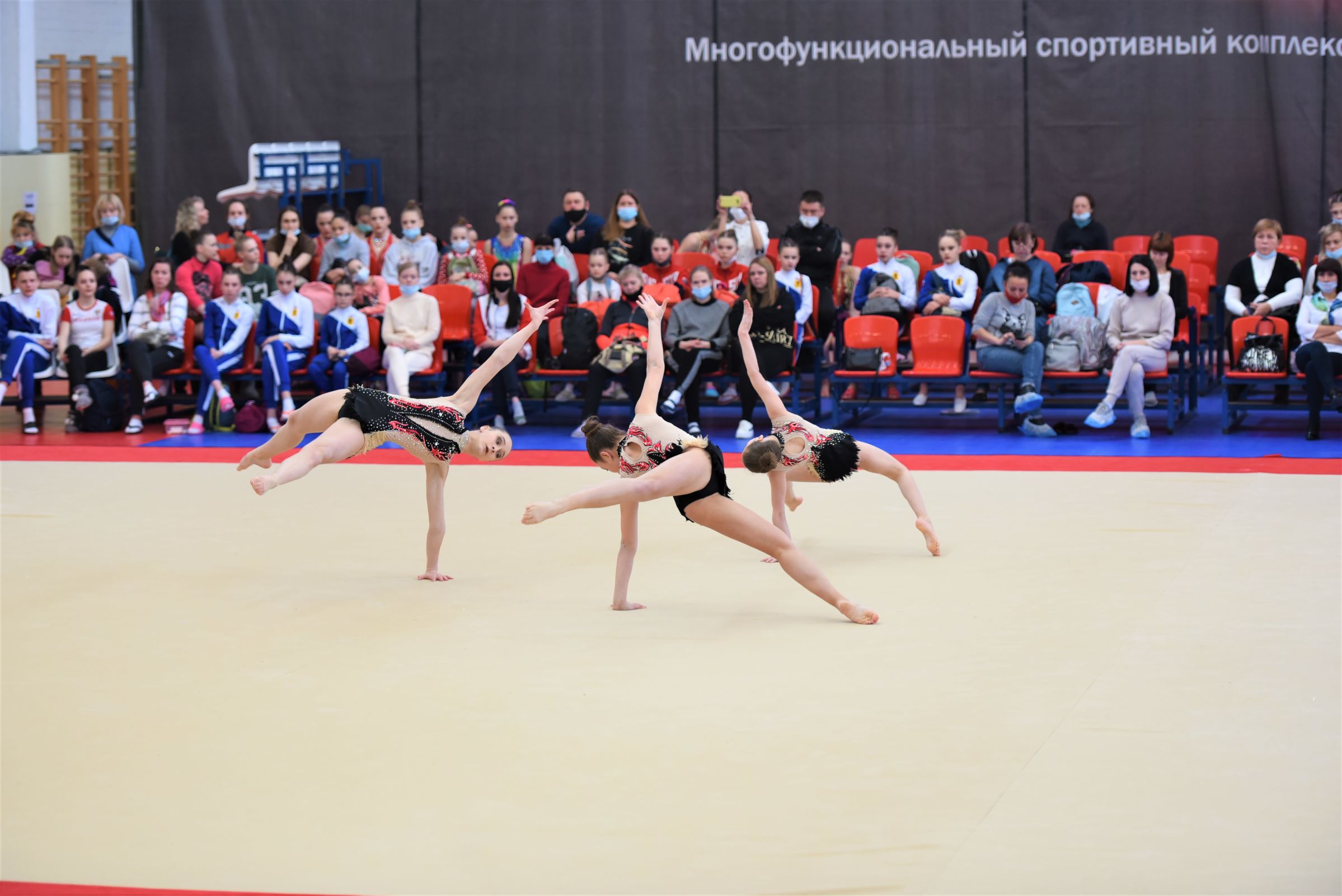 В Ярославле 267 спортсменов из 26 регионов сражаются на первенстве России по акробатике