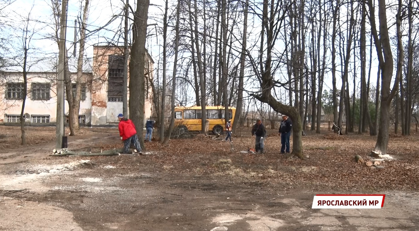 Депутаты помогают школьникам Ярославского района с весенней уборкой