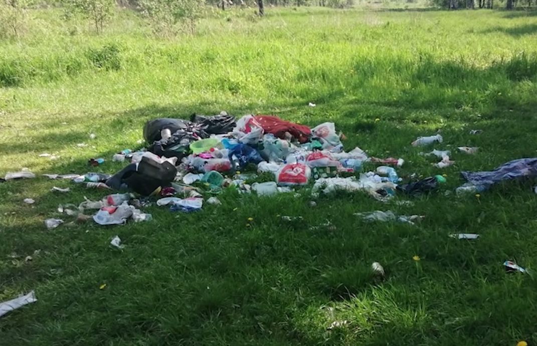Пользователи соцсетей в Ярославле сообщили о заваленных мусором берегах водоемов после выходных