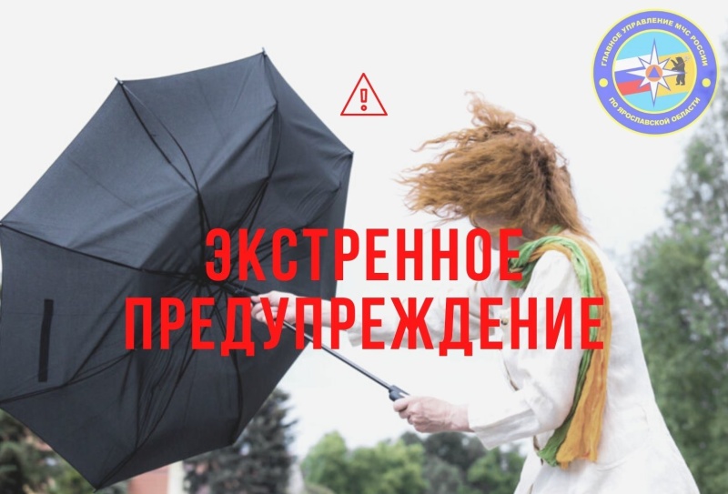 МЧС предупредило жителей Ярославля о сильном ветре