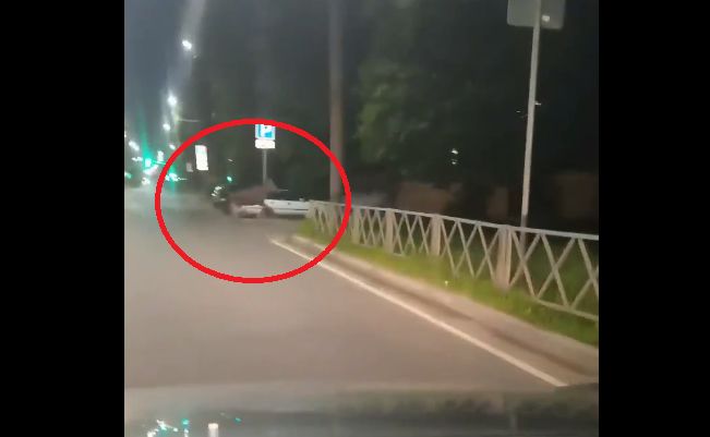 Ярославцы сняли на видео, как лось галопом пронесся по дорогам Нефтестроя