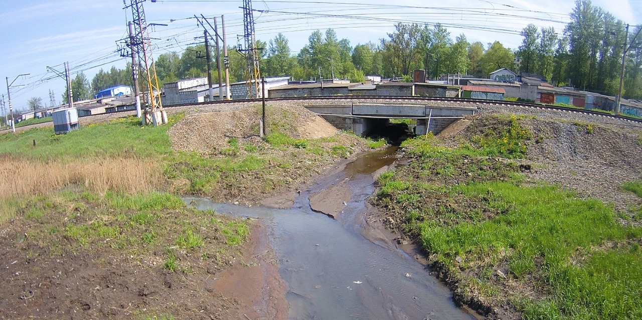В Ярославле организовали проверку в связи с загрязнением Пятовского ручья