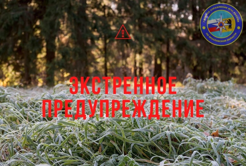 МЧС предупредило жителей Ярославской области о возможных заморозках