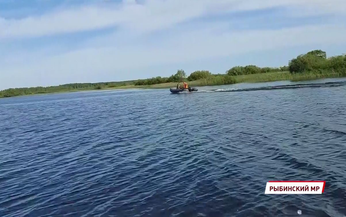 На Рыбинском водохранилище прошел рейд по выявлению браконьеров