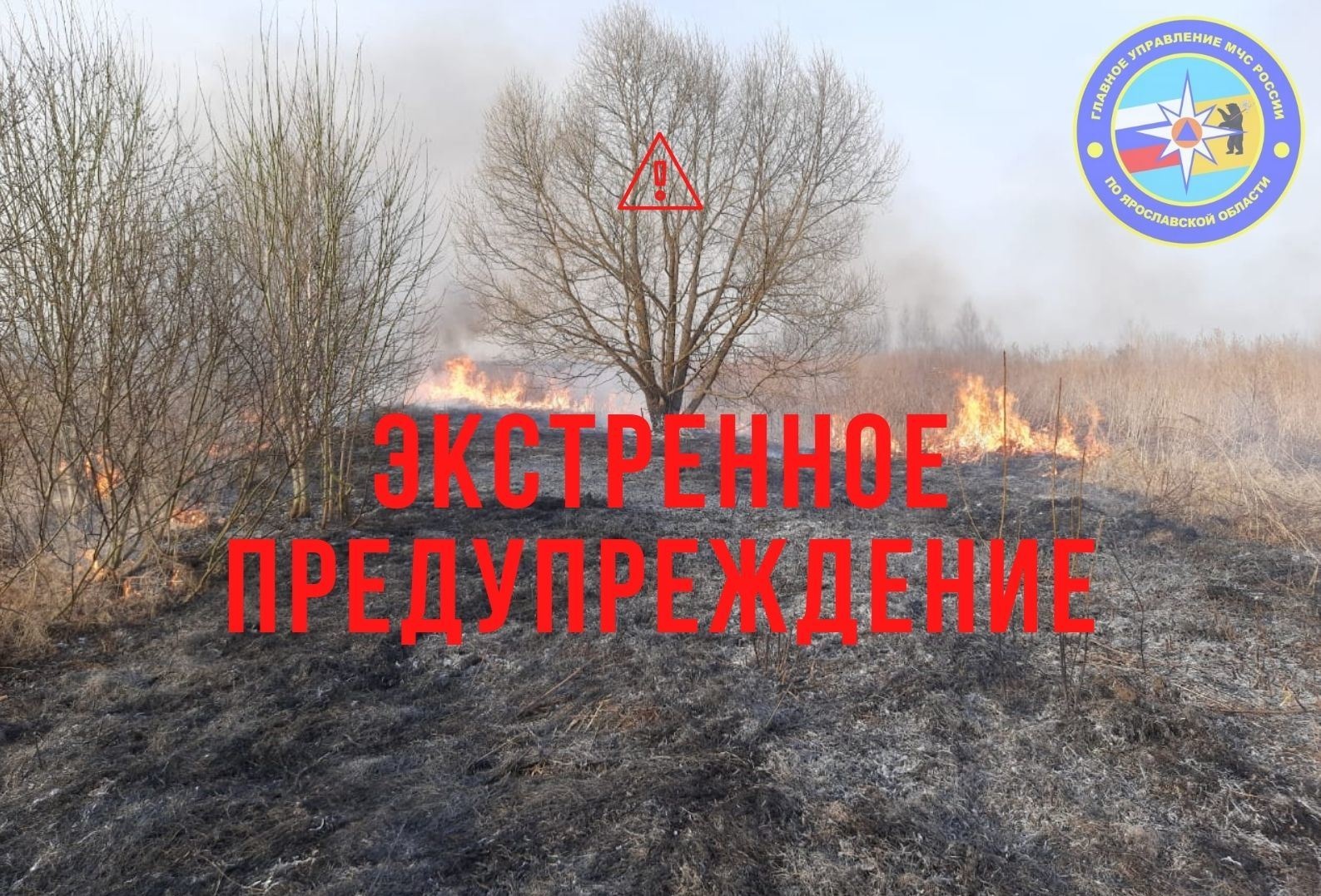 МЧС выпустило экстренное предупреждение в связи с чрезвычайной пожароопасностью в Ярославской области