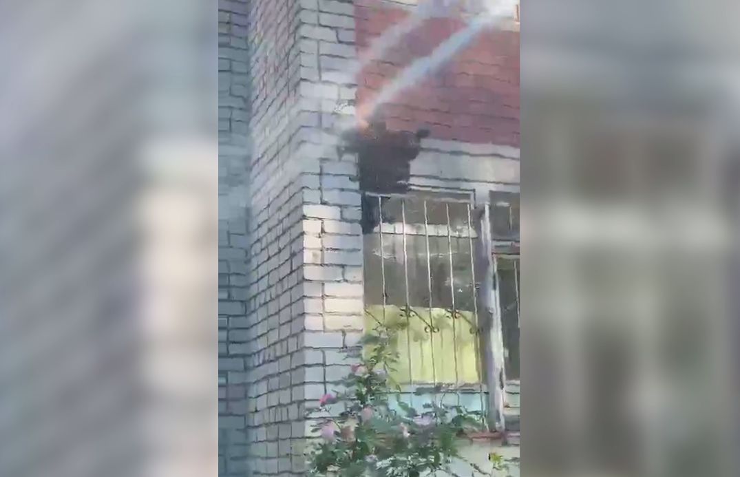 В Ярославле пчелы атаковали жилой дом в Ленинском районе