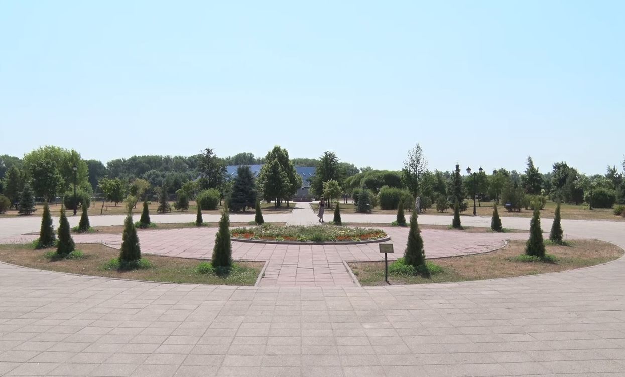 Ярославцы пожаловались на выжженные парки и скверы: как поливают газоны и цветы в городе