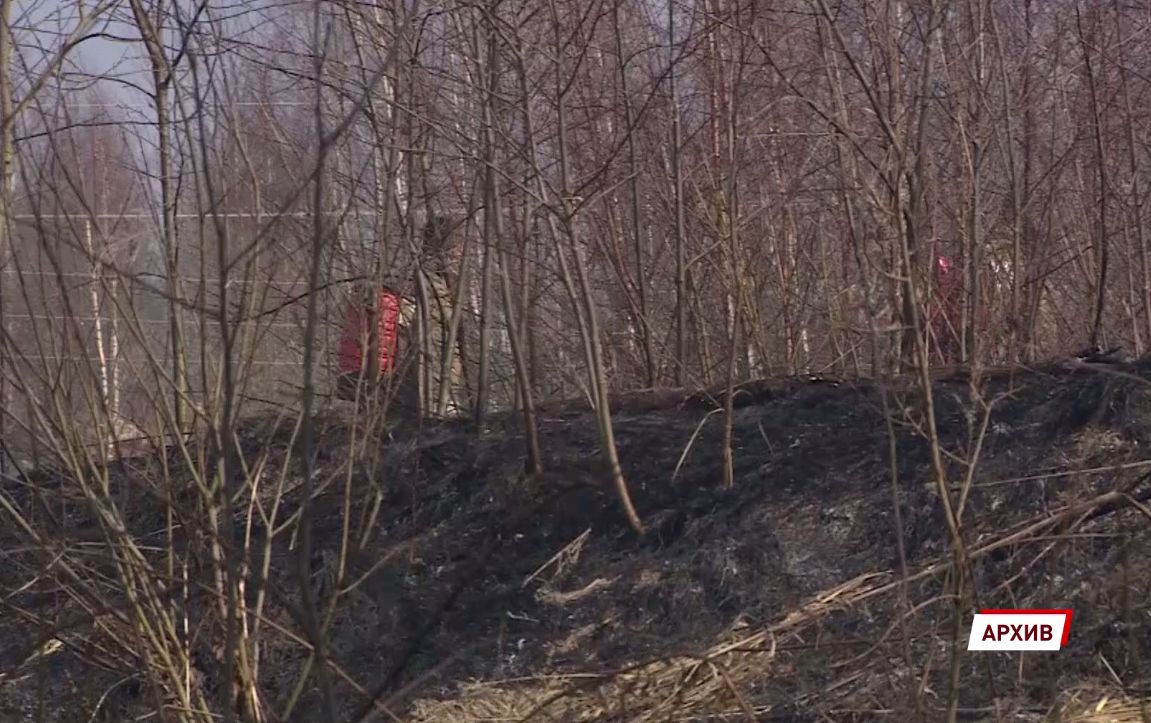 МЧС предупредило жителей Ярославской области о чрезвычайной пожароопасности