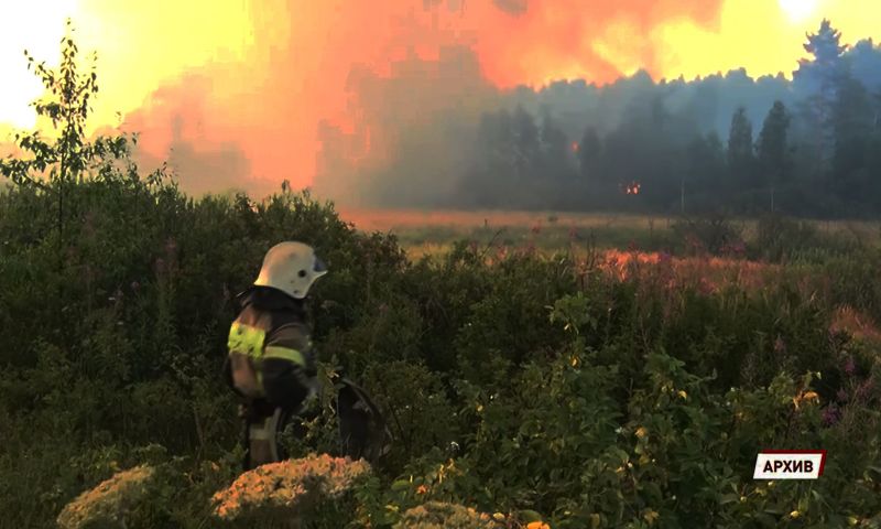Владимир Путин: на борьбу с лесными пожарами будет дополнительно выделено 24 млрд рублей