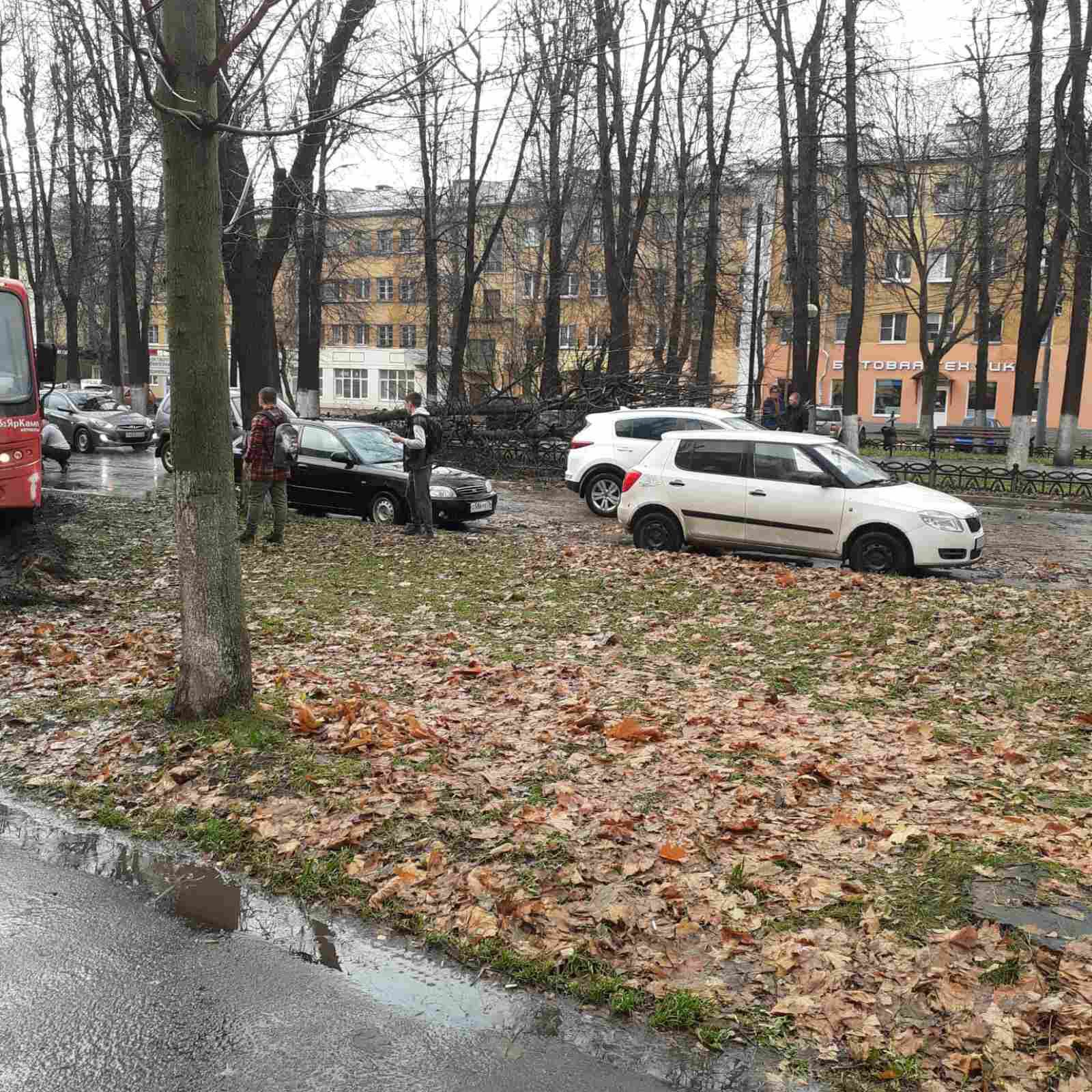 В Ярославле на Республиканской упало дерево, на Ленина - автобус съехал с дороги