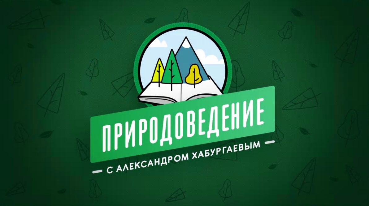 Школьники Ярославской области могут посмотреть интересные уроки по природоведению на «Первом Ярославском»