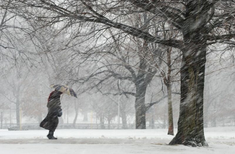 Экстренное предупреждение от МЧС: на Ярославль движутся сильный ветер и мокрый снег