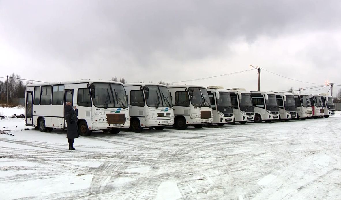 В Ярославль приехали автобусы федеральных перевозчиков