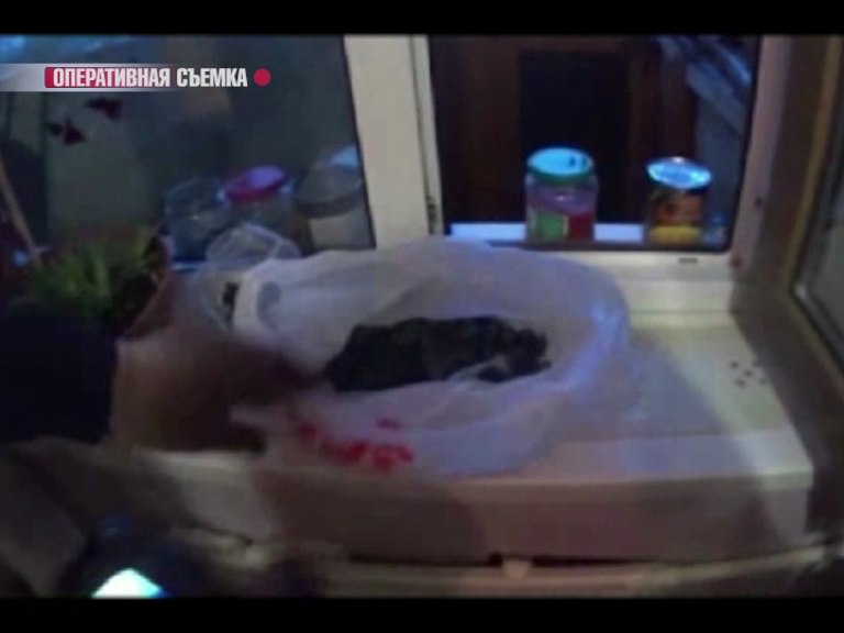 В квартире жителя Рыбинска нашли наркотические вещества: подробности