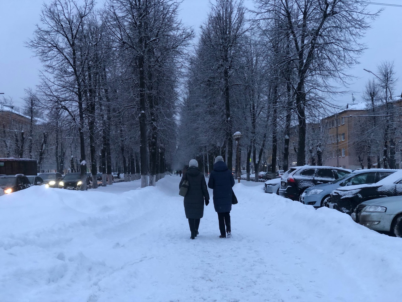 Будут ли морозы на Крещение: синоптики рассказали о погоде в Ярославле
