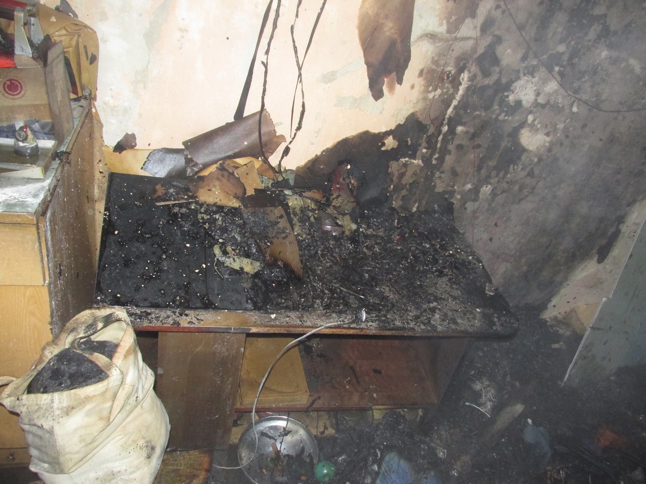 В Ярославской области при пожаре погибла женщина и ее три собаки
