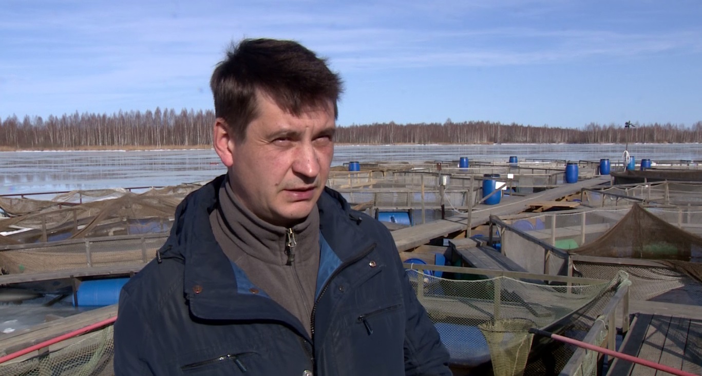 45 тонн в год: как в Ярославской области работает рыбная ферма