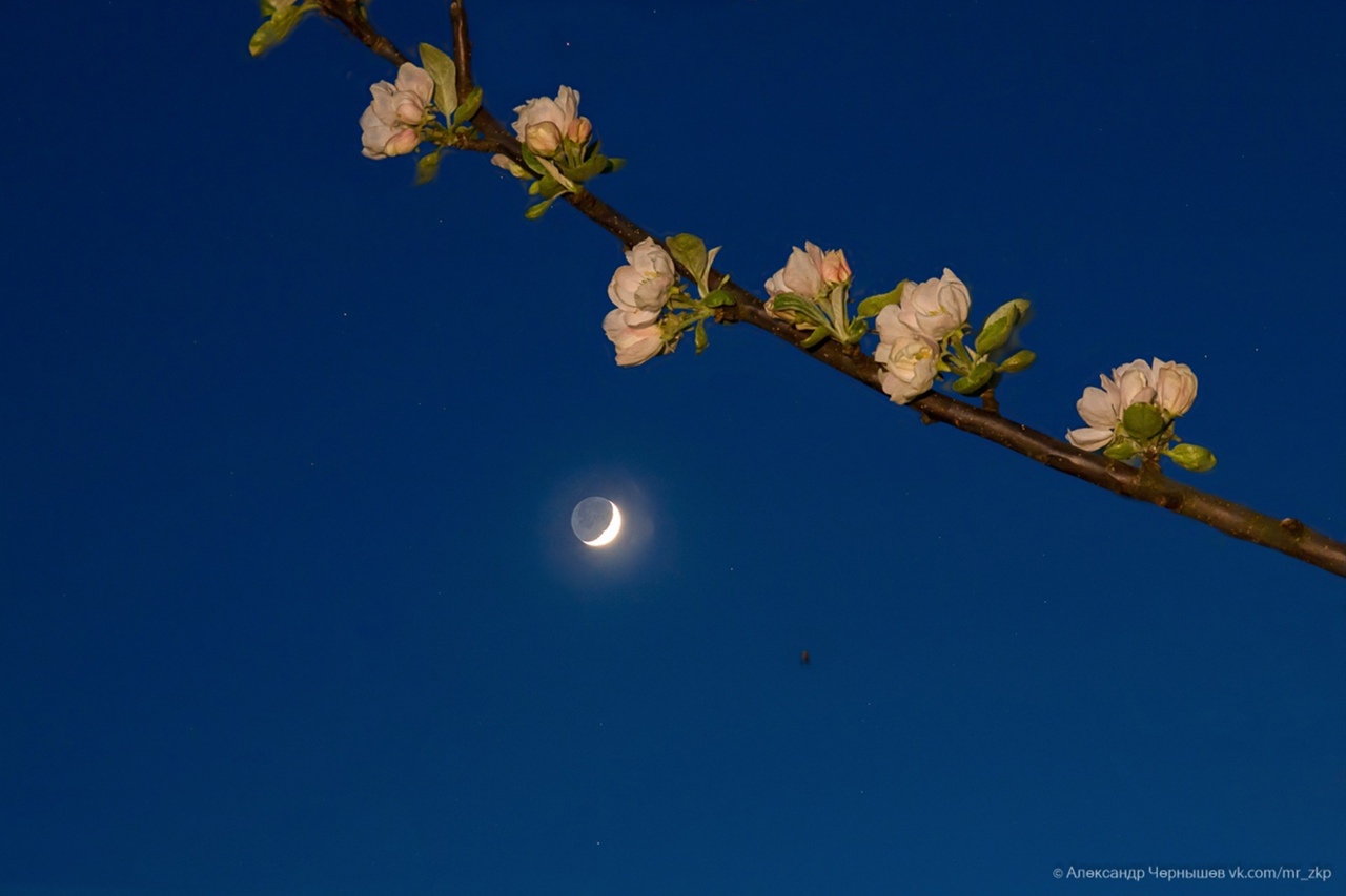 В Ярославском планетарии рассказали, что можно увидеть на ночном небе в апреле