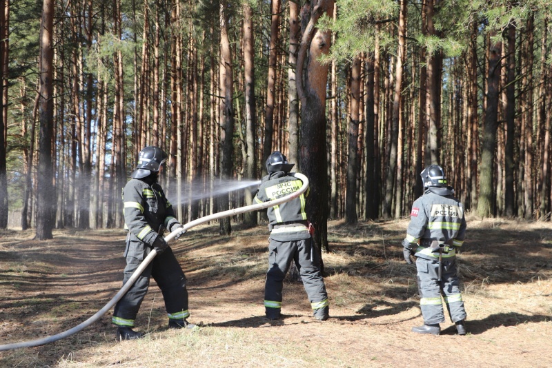 Наступает пожароопасный сезон: ярославские спасатели провели учения