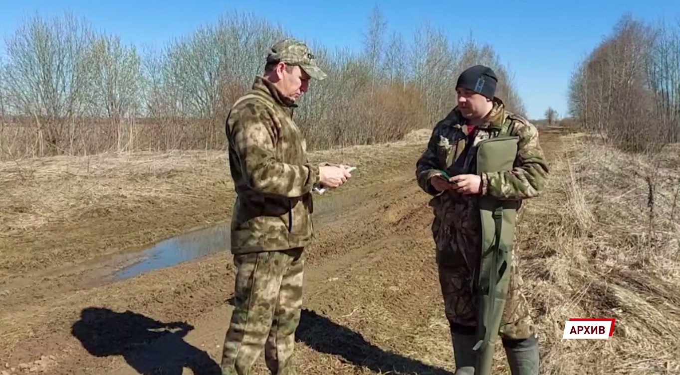 Сезон охоты в Ярославской области: правила и запреты