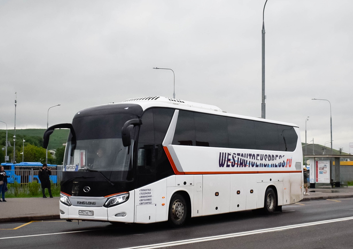 В Санкт-Петербург - на автобусе: ярославцам сообщили о новом межрегиональном маршруте