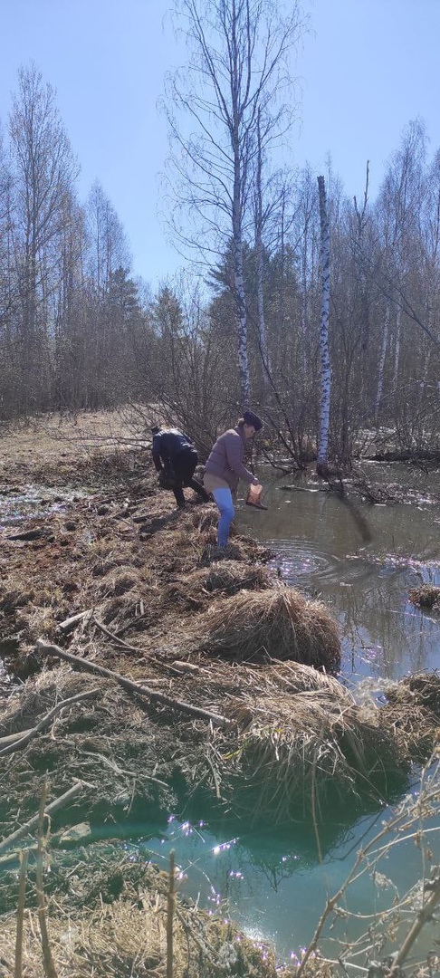 Привлекли беспилотник и водолазов: волонтеры рассказали, как нашли мертвым ярославского охотника