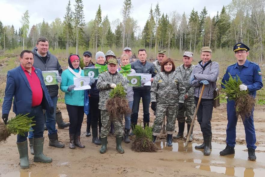 В рамках акции «Сад памяти» посадили около 5 тысяч деревьев в Угличском районе