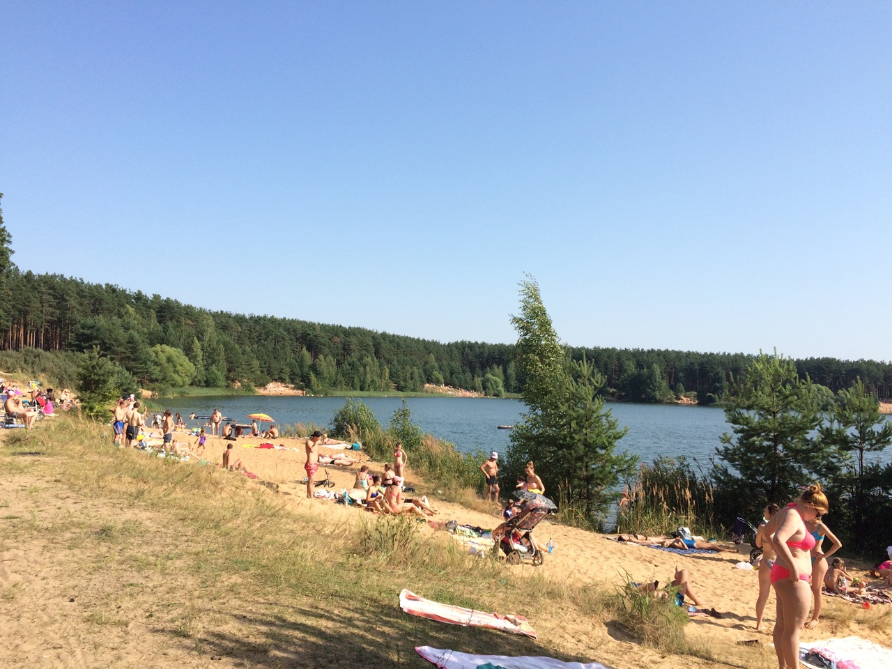 Назвали опасные места для купания в Заволжском районе Ярославля