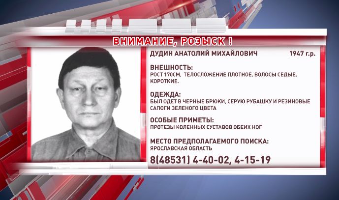 В Ярославской области ищут 74-летнего мужчину