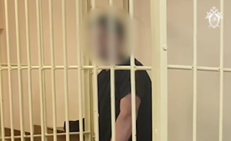 Была задушена: в Ярославле подозреваемого в убийстве студентки взяли под стражу