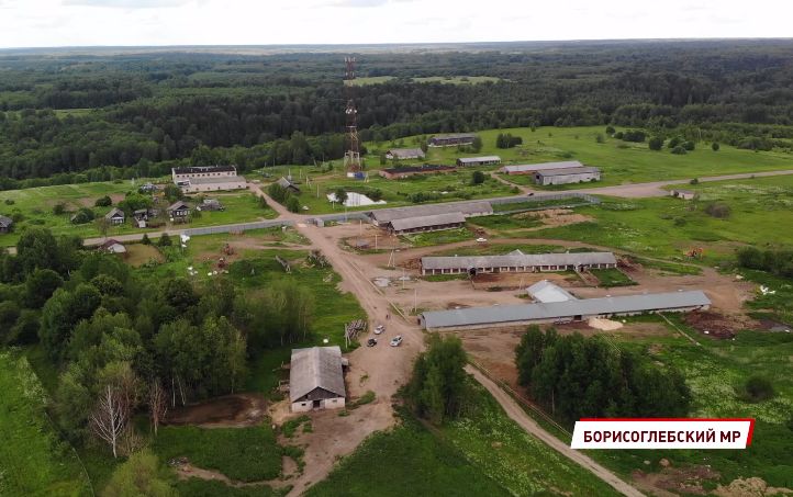В Ярославской области спустя столетия появится новая водяная мельница
