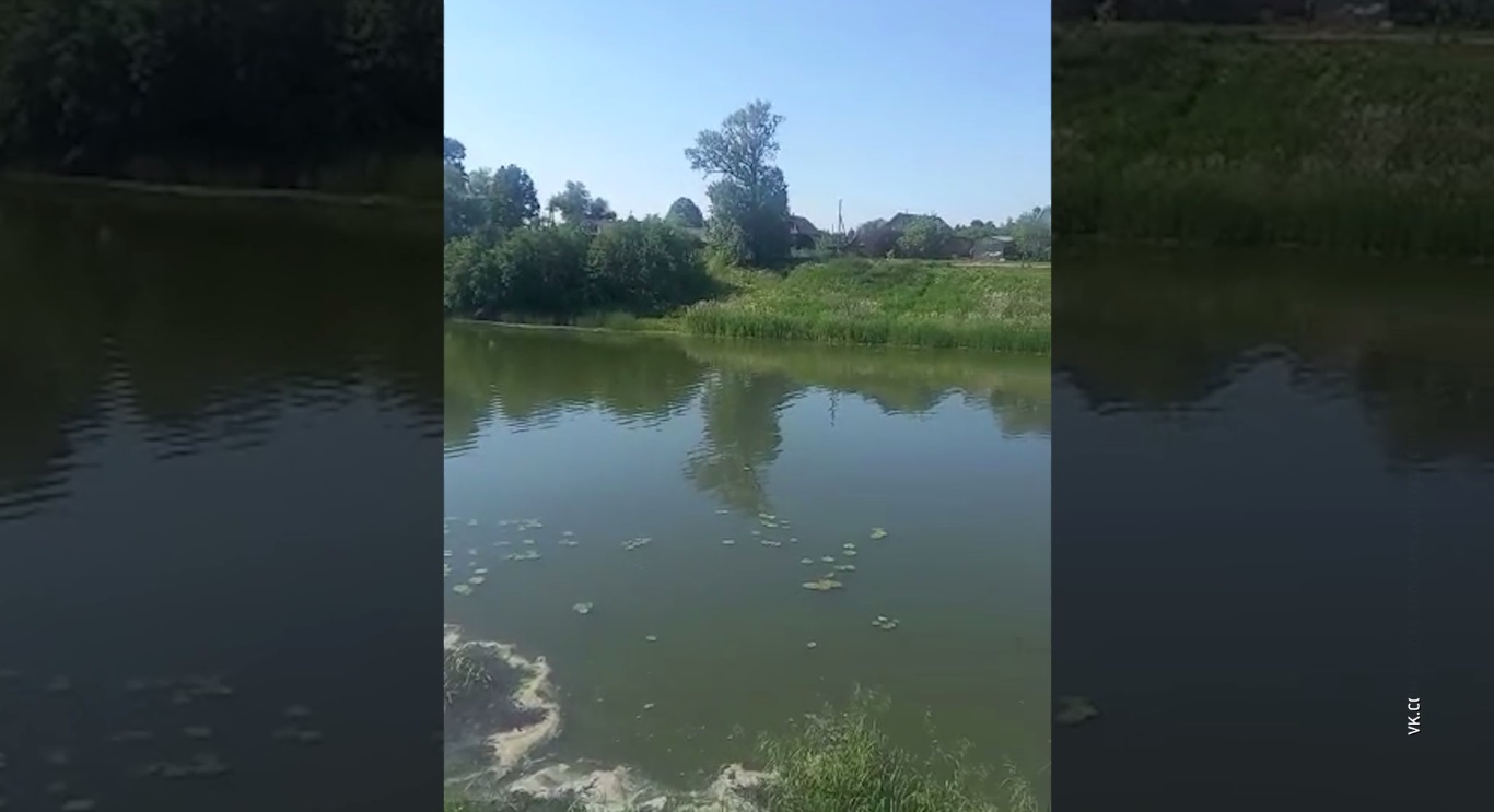 Река Нерль в Ярославской области покрылась масляной пленкой