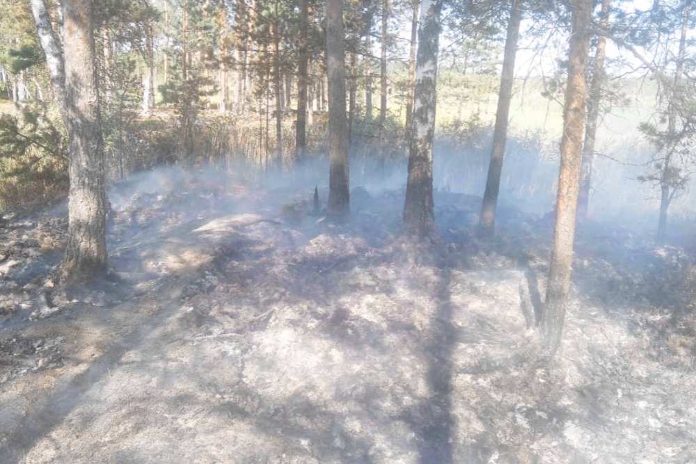 В Рыбинском районе обнаружен очаг лесного пожара