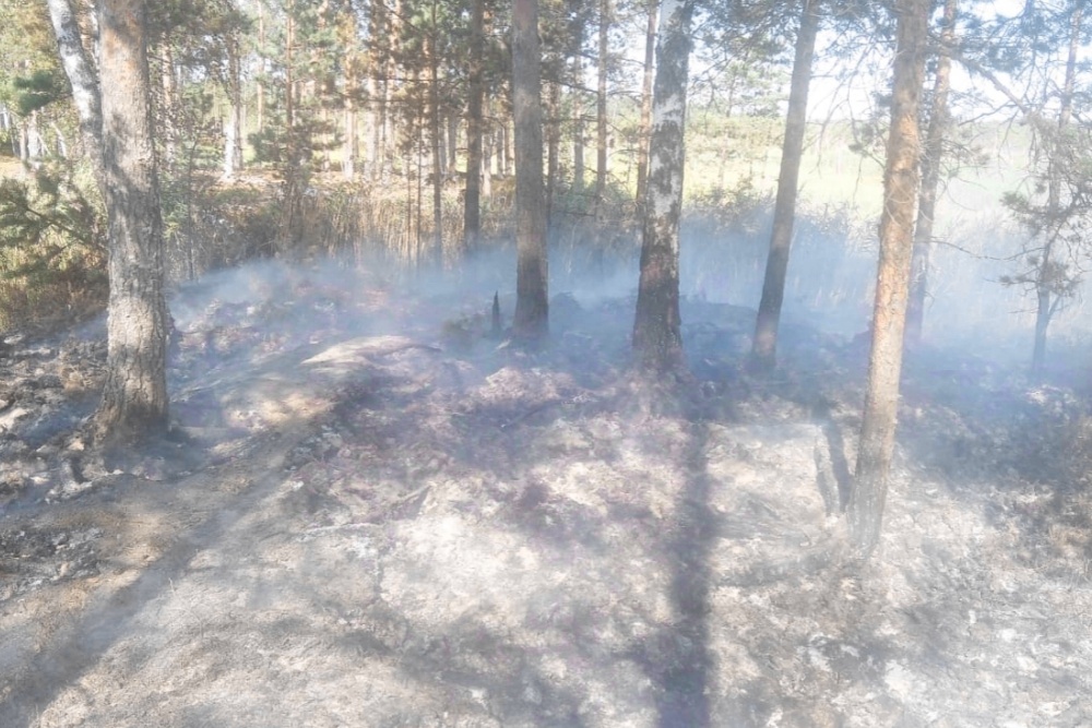 В Ярославской области локализован лесной пожар