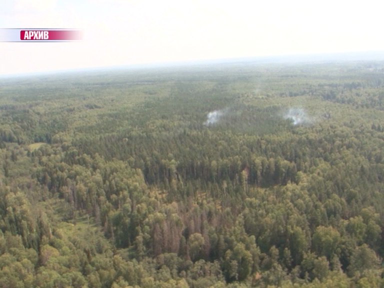 В Ярославской области ликвидированы два лесных пожара