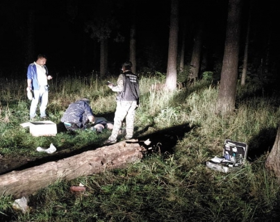 В лесополосе Заволжского района нашли тело убитого мужчины