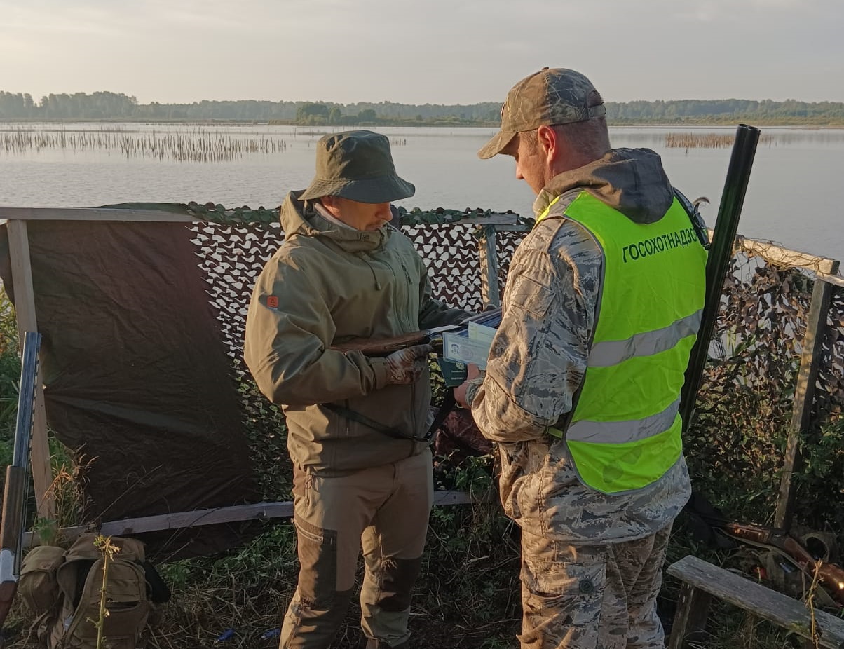 В Ярославской области усилено патрулирование охотничьих угодий