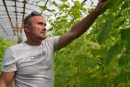 Ярославский фермер в четыре раза увеличил производство рассады и овощей