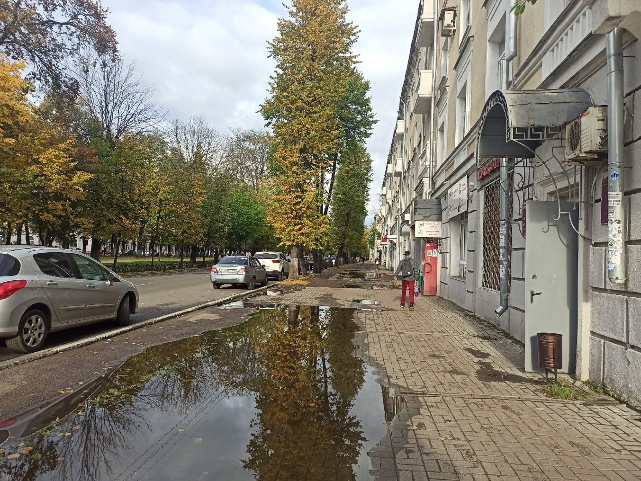 Синоптик теплые. Ярославль климат. Пасмурный Ярославль. Погода в Ярославле. Погода в Ярославской.