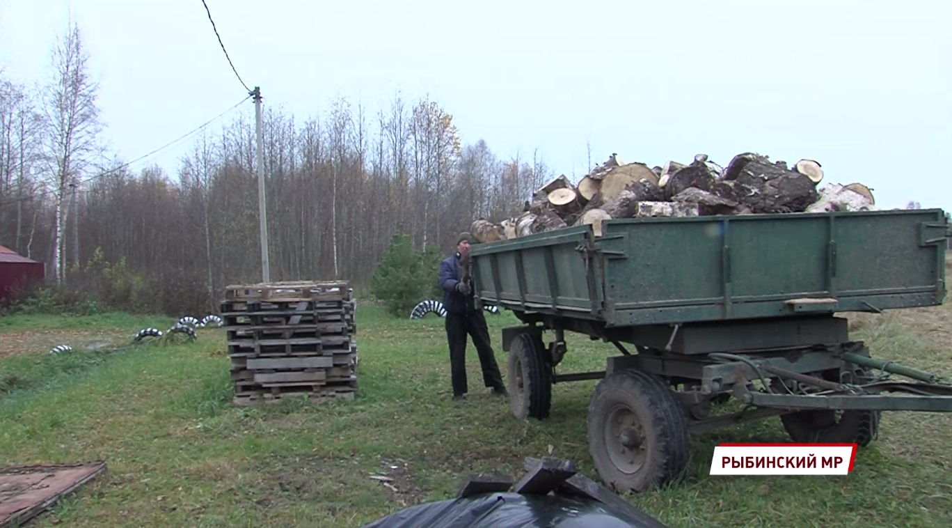 В Рыбинском районе волонтеры штаба «Мы вместе» помогли местной жительнице подготовить дрова на зиму