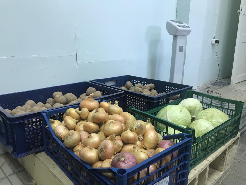 «У фермеров будут закупать овощи, мясо, ягоды»: в Ярославской области открываются новые заготовительные пункты