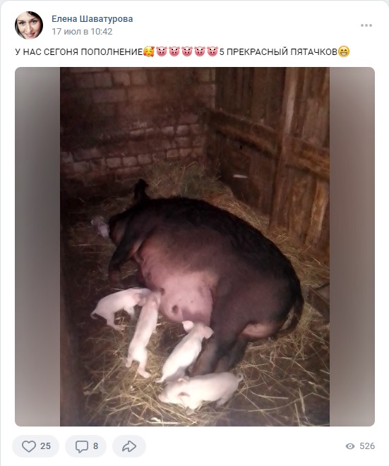 Многодетная мама из Ярославской области рассказала, как удалось развить фермерское хозяйство