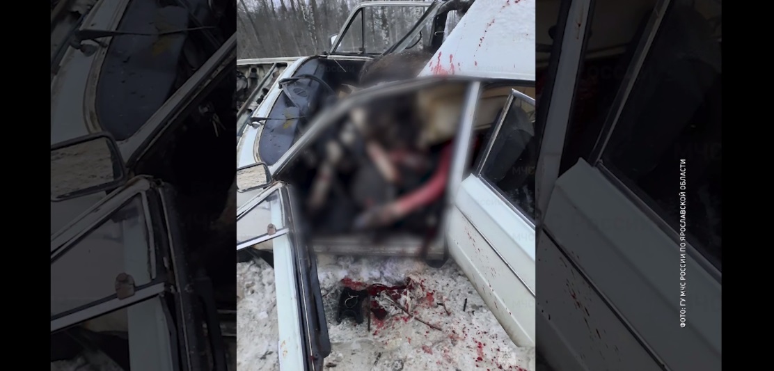 Лось в машине: в Ярославской области сбили животное